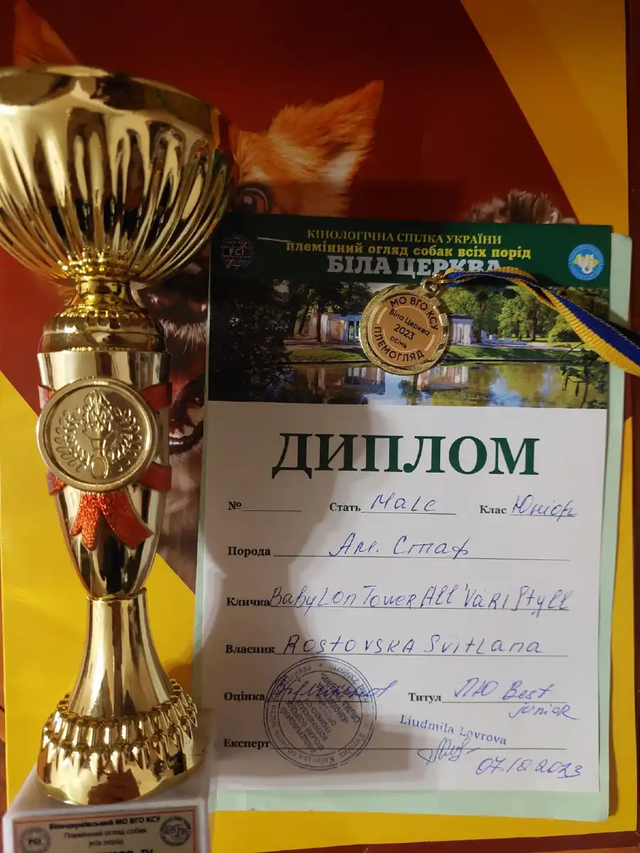 Выставка Белая Церковь диплом 07.10.2023